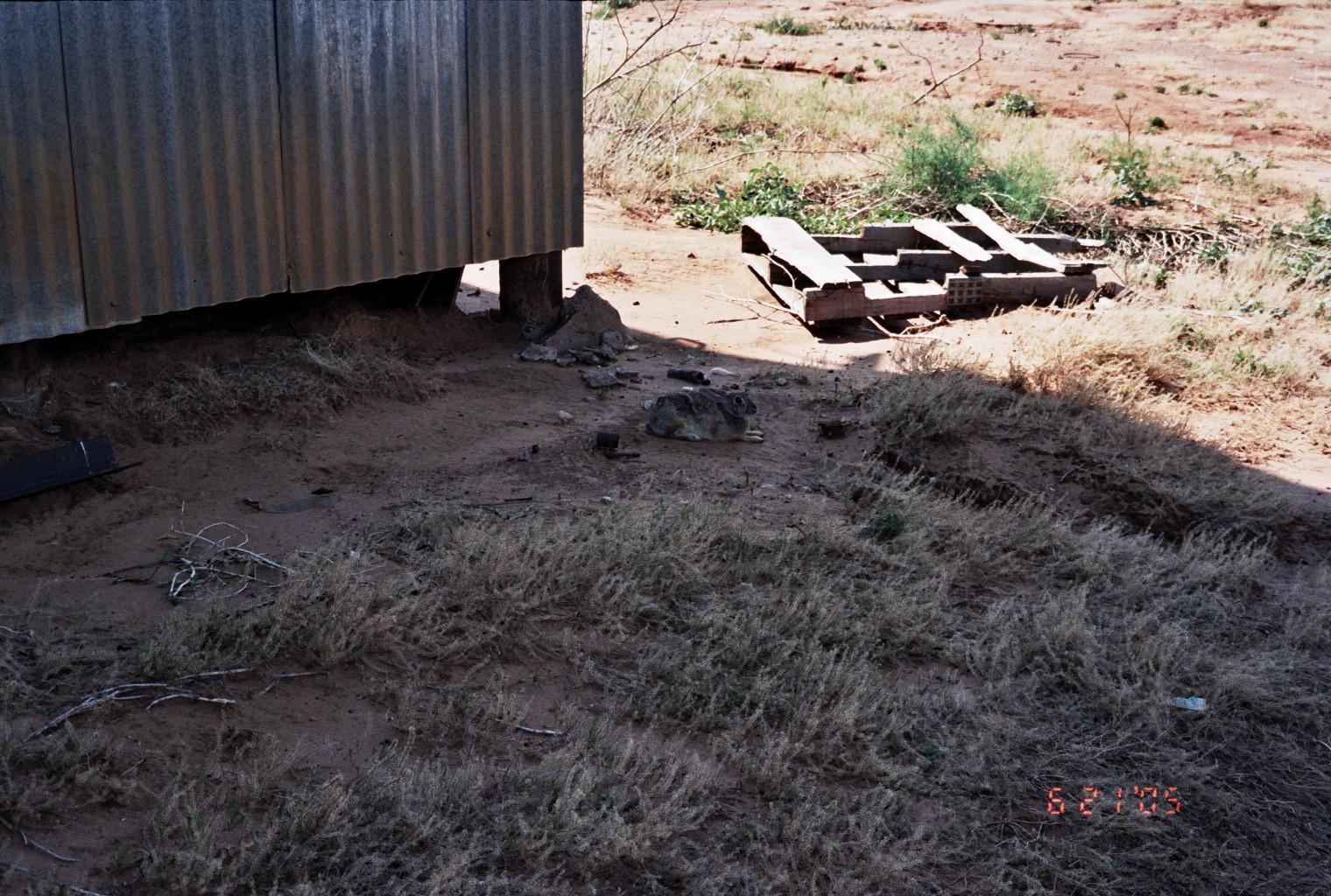 Name:  14A_0070 can you see the rabbit.JPG
Views: 916
Size:  289.7 KB