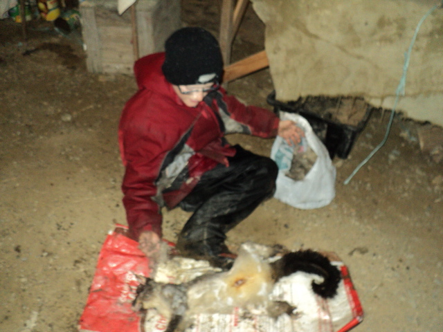 Name:  picture 575.jpg
Views: 171
Size:  162.6 KB