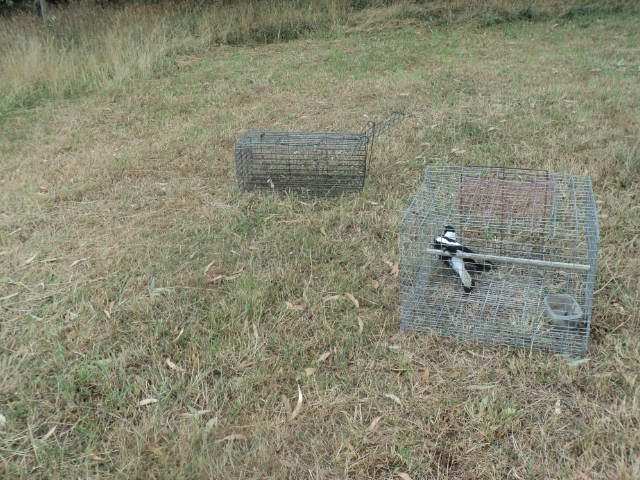 Name:  picture 7916.jpg
Views: 262
Size:  163.0 KB