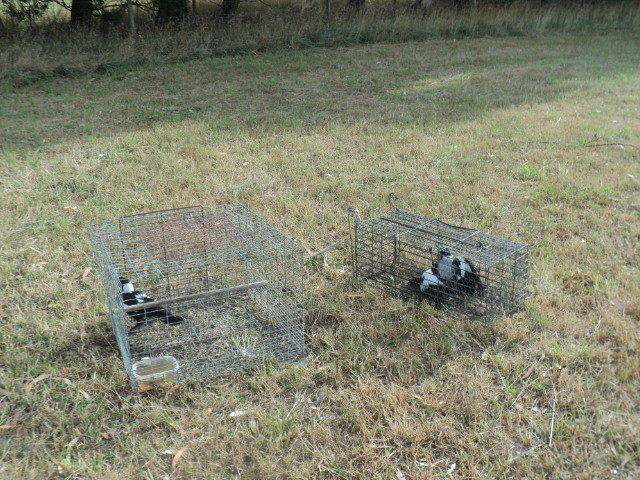 Name:  picture 7921.jpg
Views: 542
Size:  165.1 KB