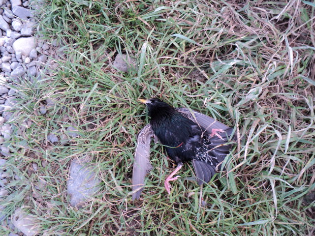 Name:  picture 589.jpg
Views: 417
Size:  164.9 KB