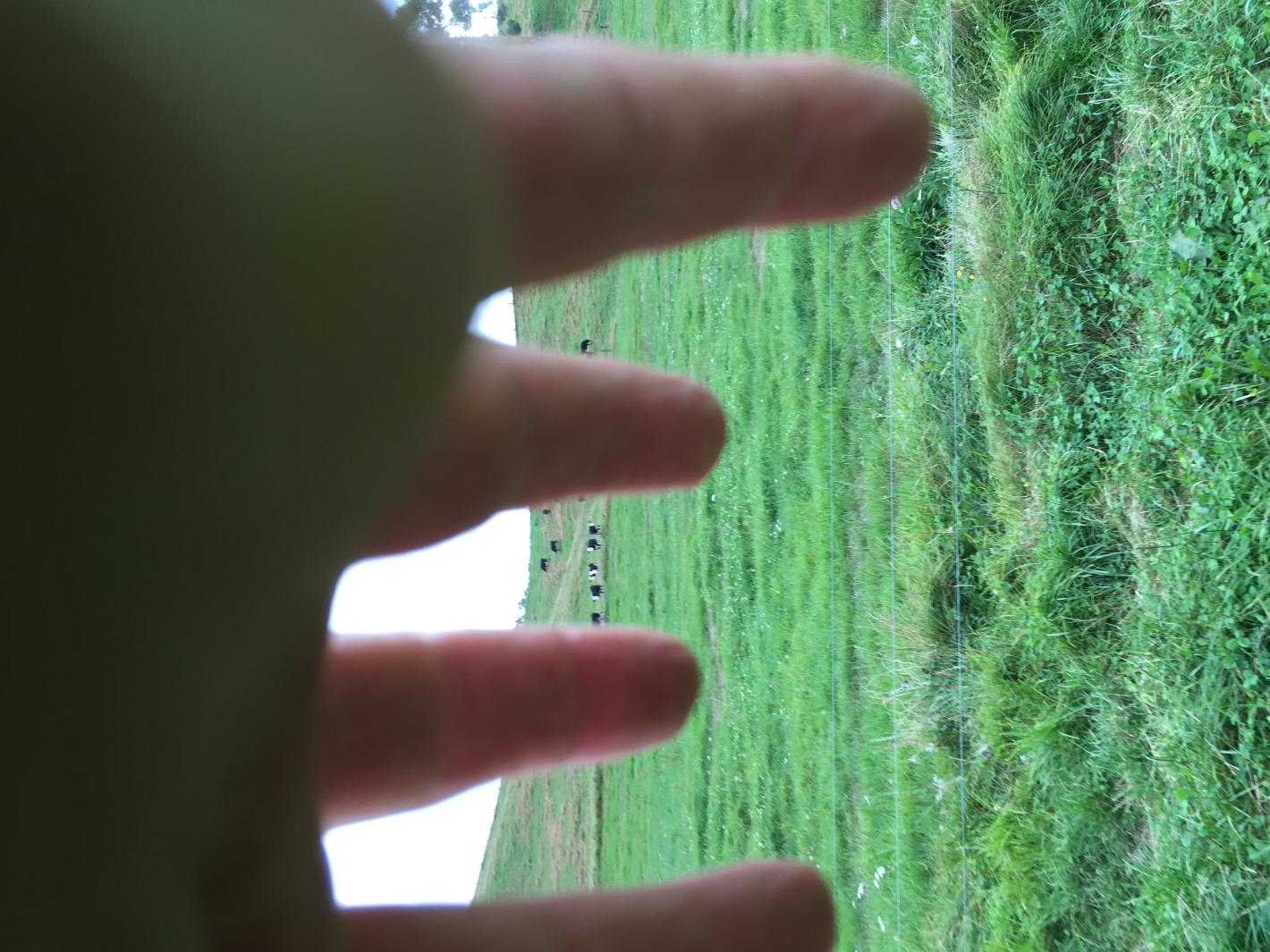 Name:  image.jpg
Views: 407
Size:  193.2 KB