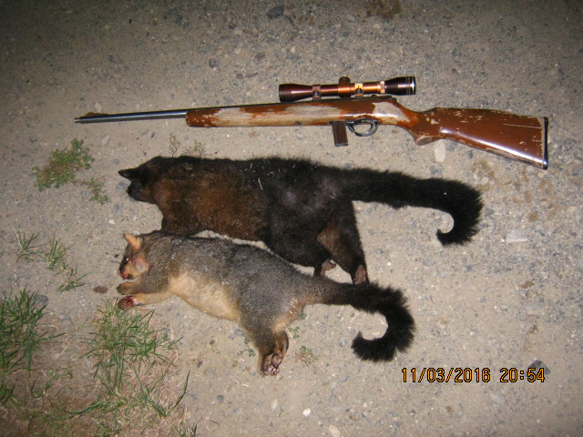 Name:  IMG_3124.JPG
Views: 240
Size:  152.1 KB