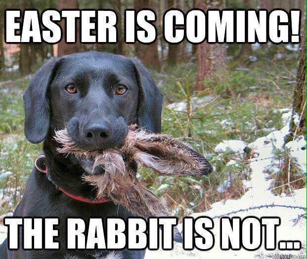 Name:  easter.jpg
Views: 575
Size:  72.7 KB