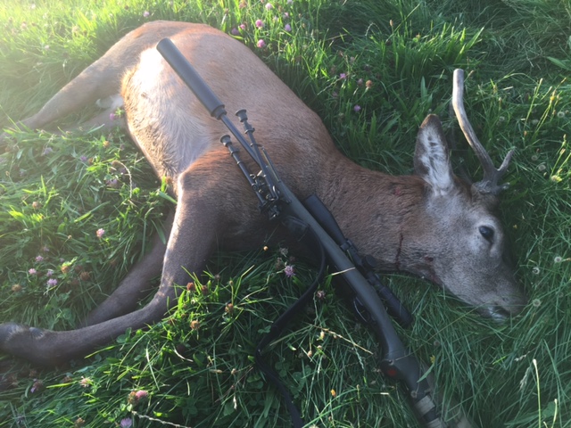 Name:  Alex_04_deer.JPG
Views: 214
Size:  160.9 KB