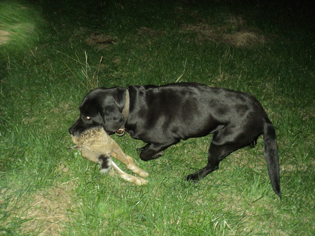Name:  picture 8244.jpg
Views: 348
Size:  164.2 KB