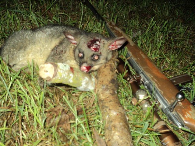 Name:  picture 8311.jpg
Views: 243
Size:  162.9 KB