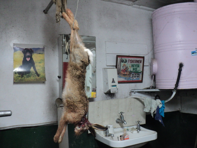 Name:  picture 8387.jpg
Views: 405
Size:  162.8 KB