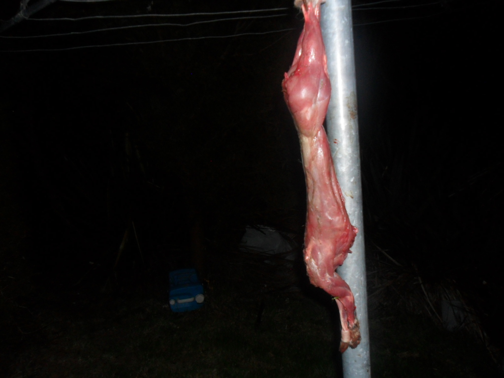 Name:  SAM_0888.JPG
Views: 483
Size:  321.5 KB