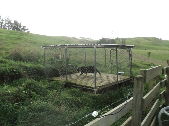 Name:  picture 8570.jpg
Views: 409
Size:  165.0 KB