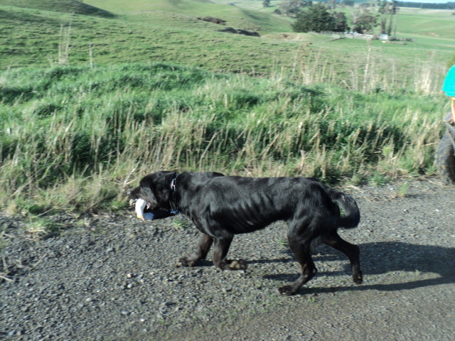 Name:  picture 8672.jpg
Views: 490
Size:  163.5 KB