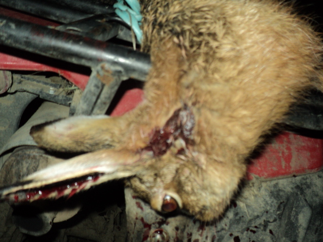 Name:  picture 8761.jpg
Views: 466
Size:  162.5 KB