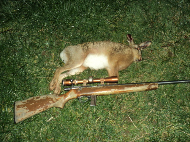 Name:  picture 8759.jpg
Views: 418
Size:  164.6 KB