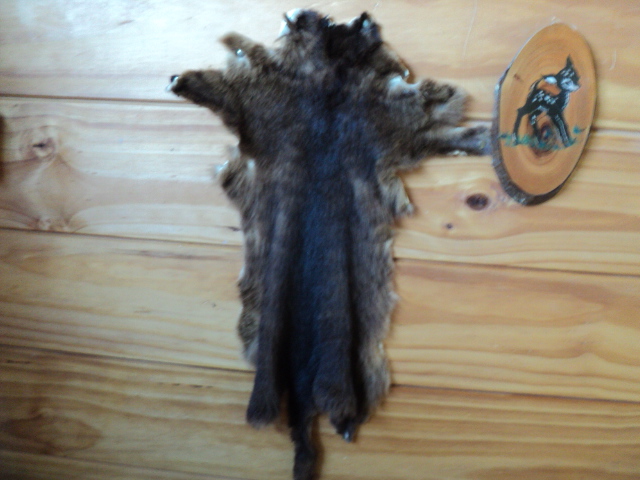Name:  picture 8845.jpg
Views: 388
Size:  162.5 KB
