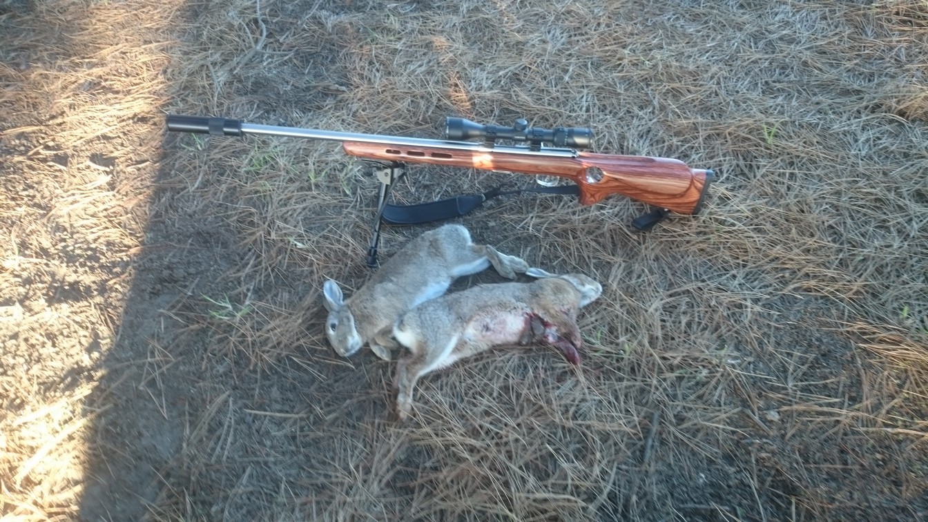 Name:  Bunnies etc 001.jpg
Views: 417
Size:  397.7 KB