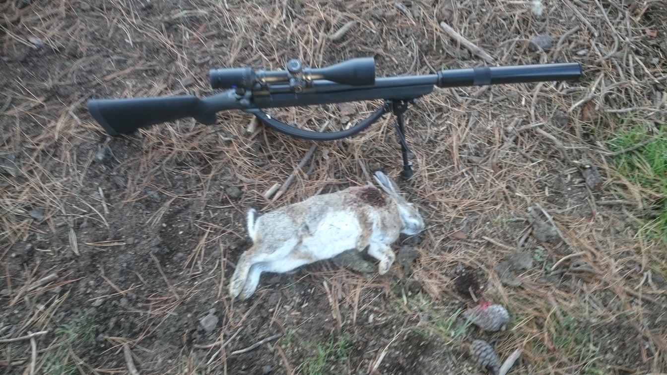 Name:  Bunnies etc 004.jpg
Views: 425
Size:  364.5 KB
