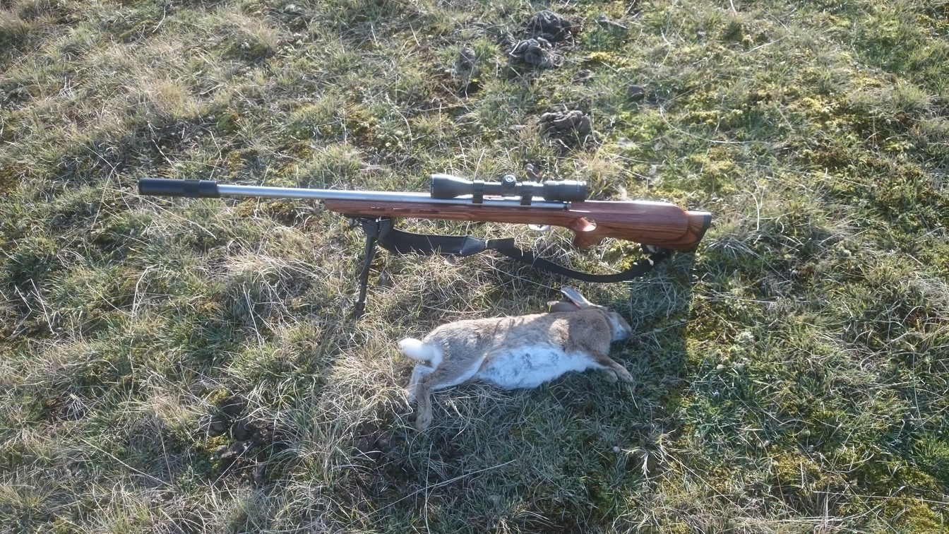 Name:  Bunnies etc 009.jpg
Views: 381
Size:  532.7 KB