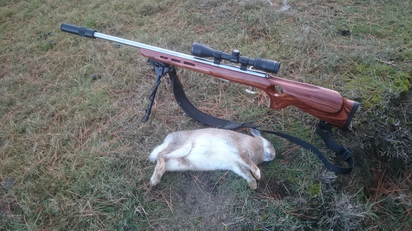 Name:  Bunnies etc 011.jpg
Views: 381
Size:  416.4 KB