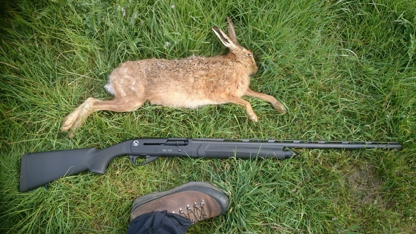 Name:  Bunnies etc 019.jpg
Views: 294
Size:  464.9 KB