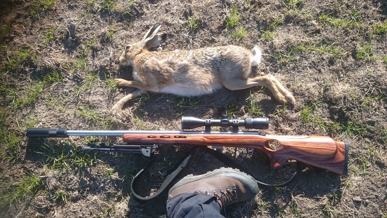 Name:  Bunnies etc 021.jpg
Views: 299
Size:  516.1 KB