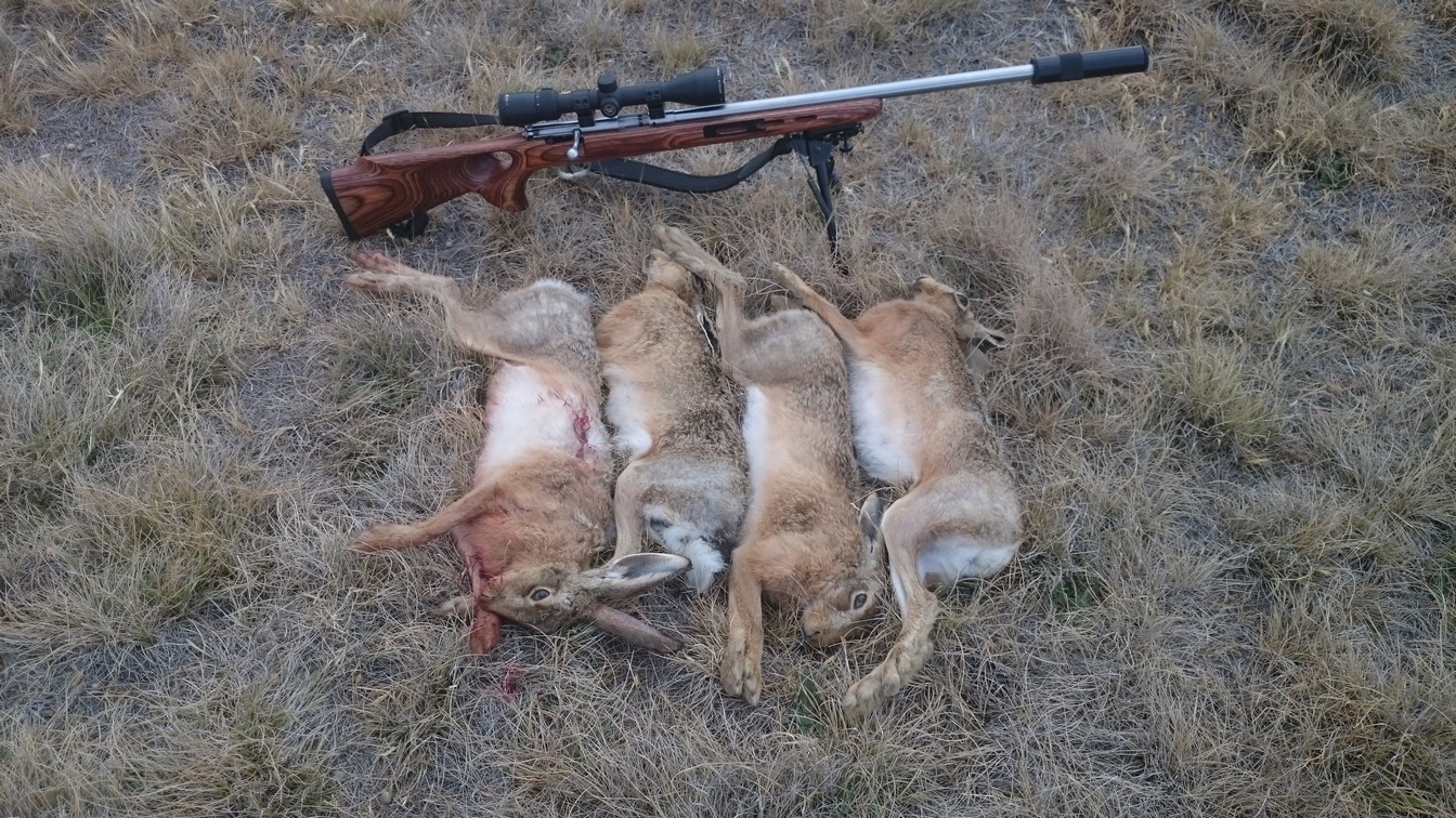 Name:  Bunnies etc 031.jpg
Views: 260
Size:  456.9 KB