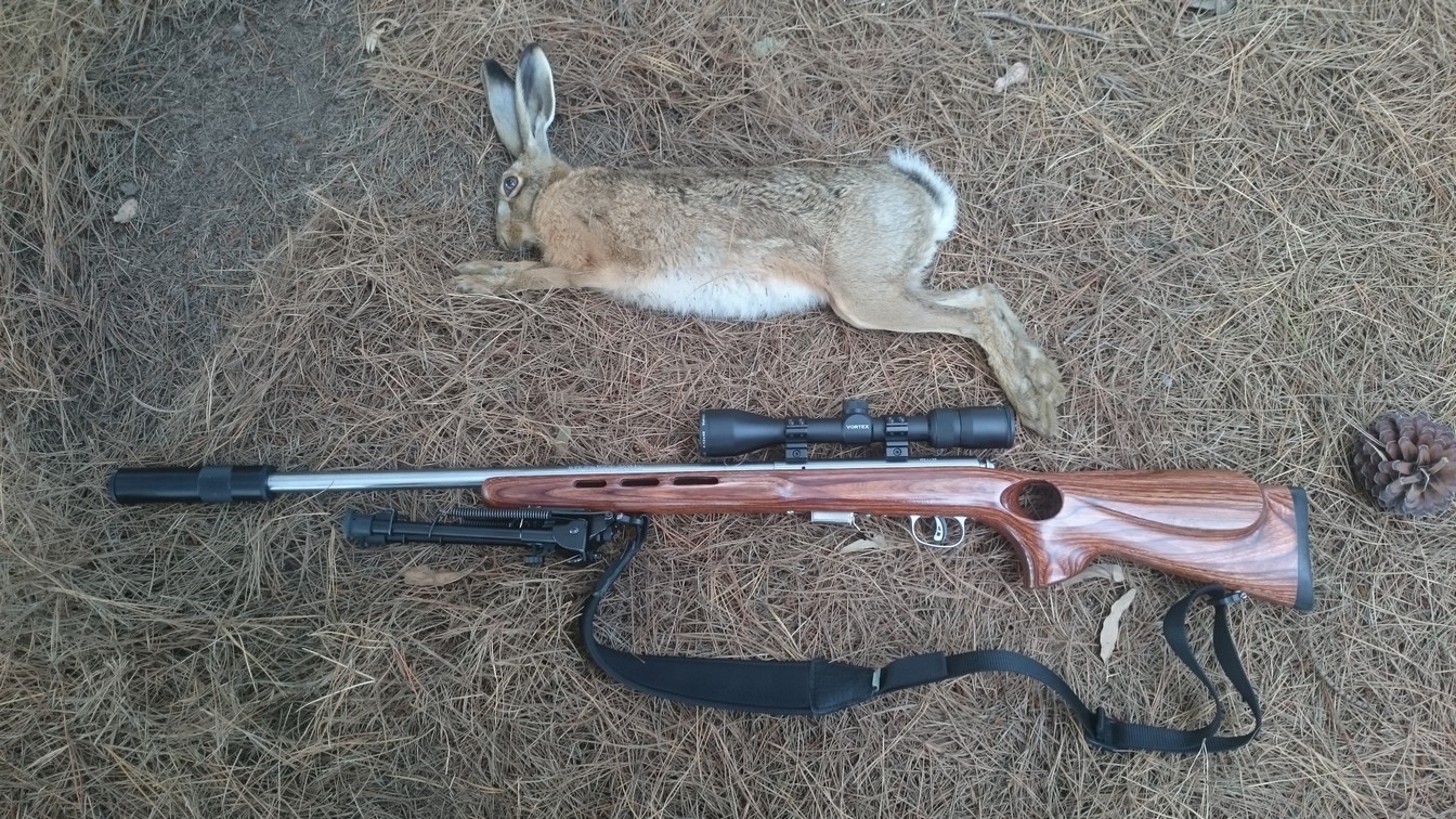 Name:  Bunnies etc 034.jpg
Views: 293
Size:  489.2 KB