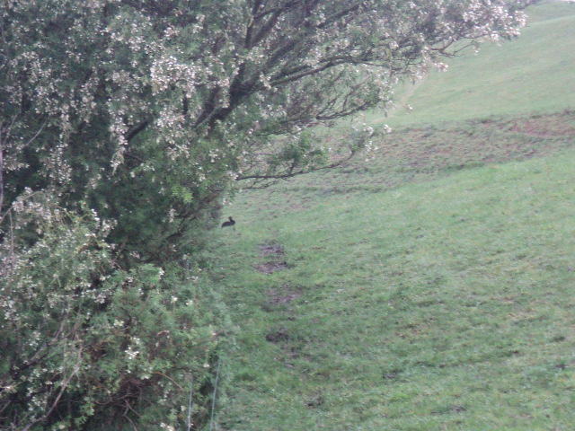 Name:  picture 9045.jpg
Views: 250
Size:  162.9 KB