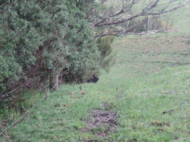 Name:  picture 9046.jpg
Views: 270
Size:  165.2 KB