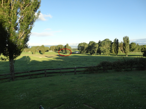 Name:  Target Area.JPG
Views: 307
Size:  246.4 KB