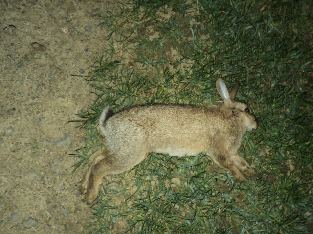 Name:  picture 9070.jpg
Views: 420
Size:  163.4 KB