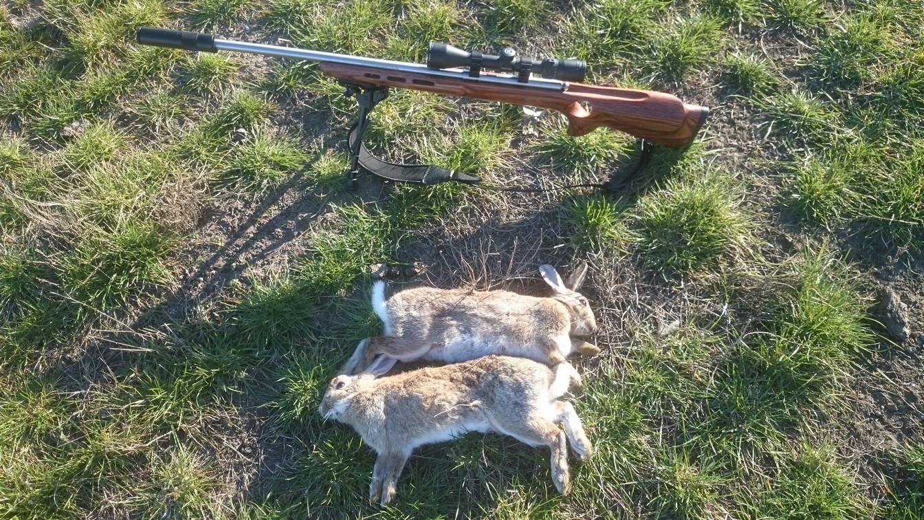 Name:  Bunnies 01.jpg
Views: 445
Size:  557.3 KB