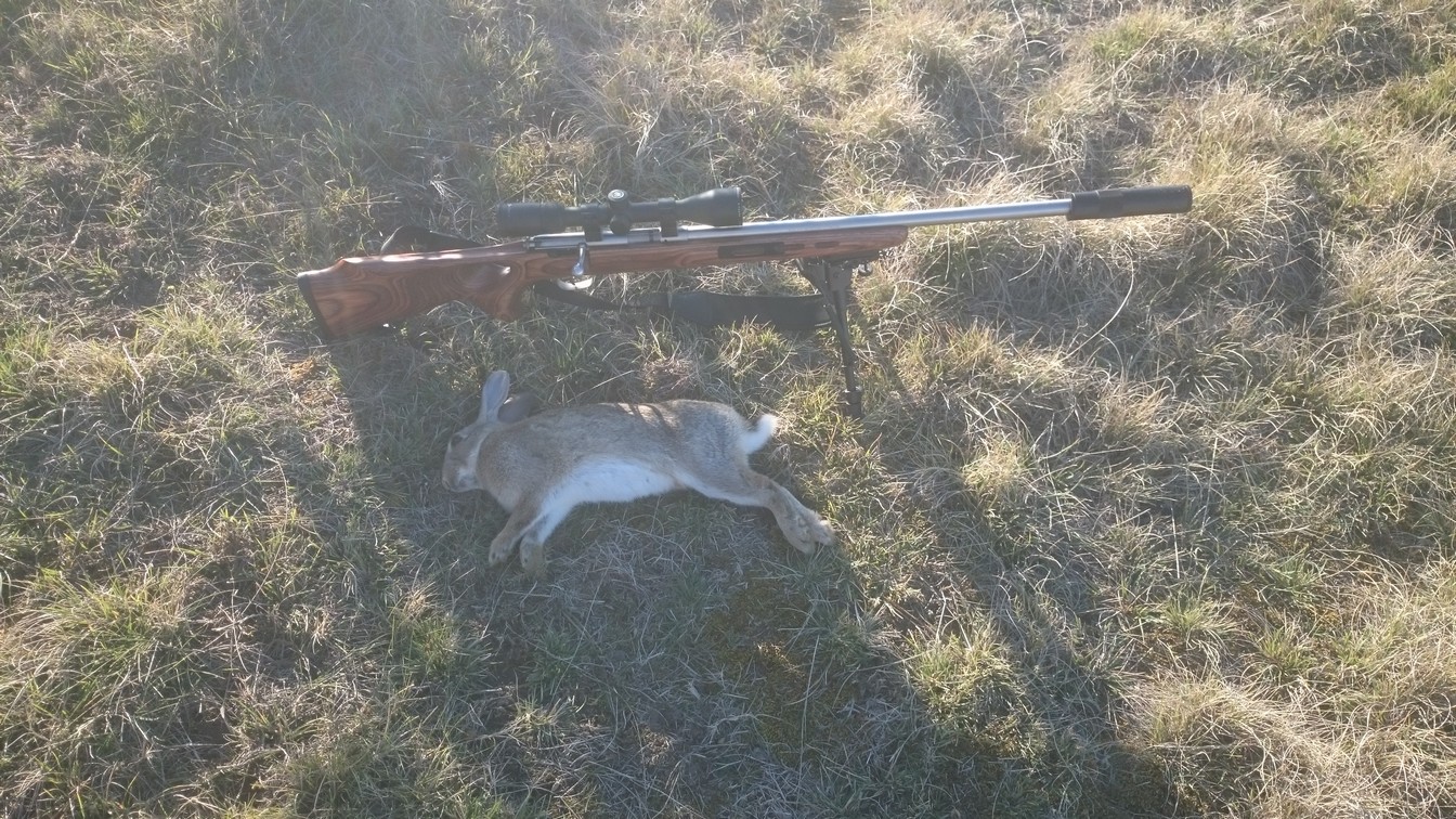 Name:  Bunnies 02.jpg
Views: 425
Size:  466.1 KB