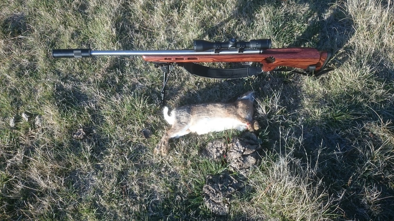Name:  Bunnies 03.jpg
Views: 449
Size:  560.5 KB