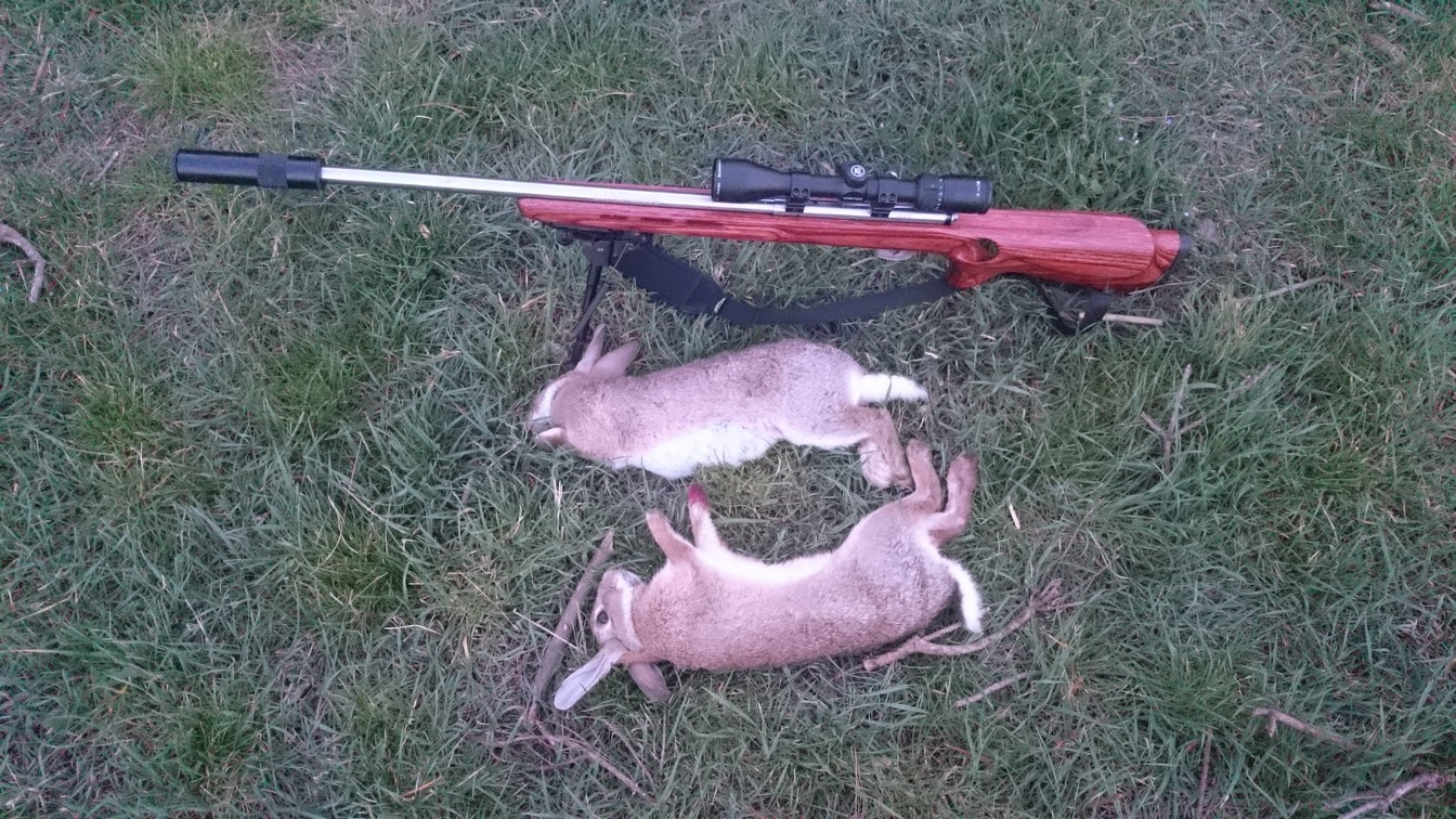 Name:  Bunnies 07.jpg
Views: 454
Size:  427.5 KB