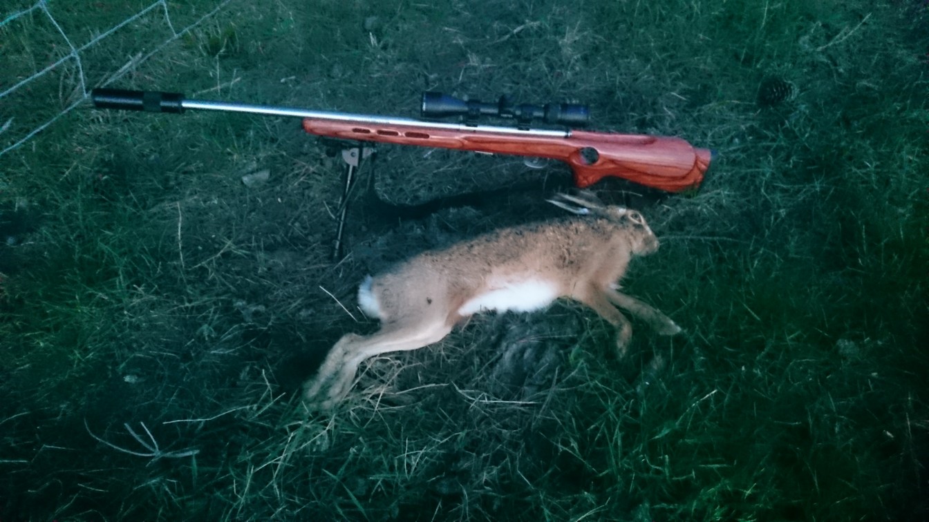 Name:  Bunnies 09.jpg
Views: 445
Size:  236.0 KB