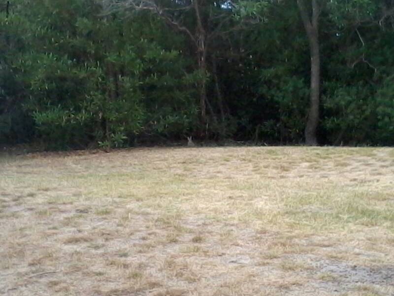 Name:  uploadfromtaptalk1356511671424.jpg
Views: 422
Size:  57.5 KB