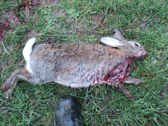 Name:  picture 9115.jpg
Views: 375
Size:  164.1 KB