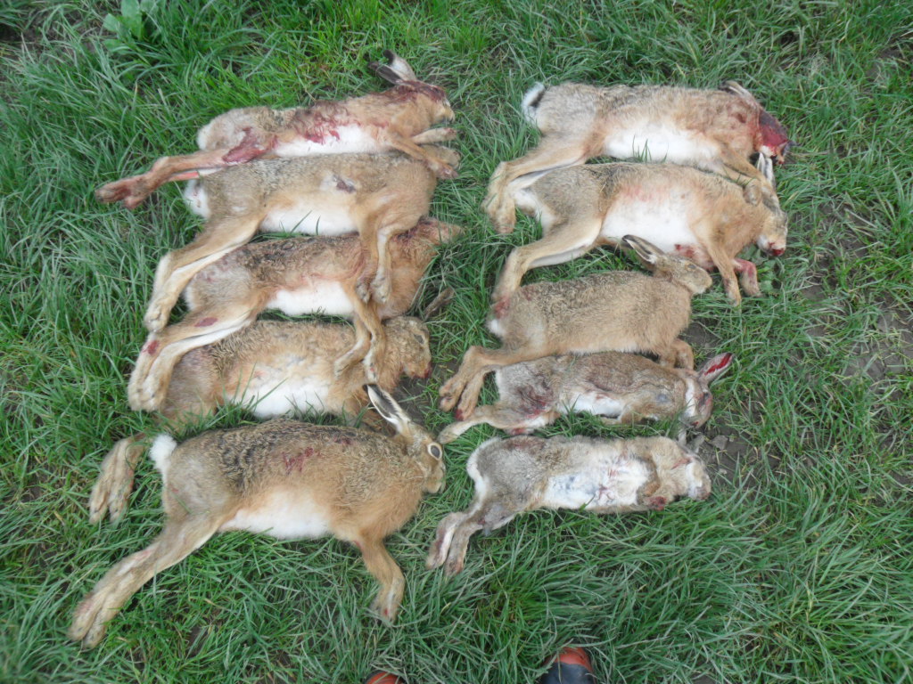 Name:  SAM_0050.JPG
Views: 254
Size:  432.8 KB