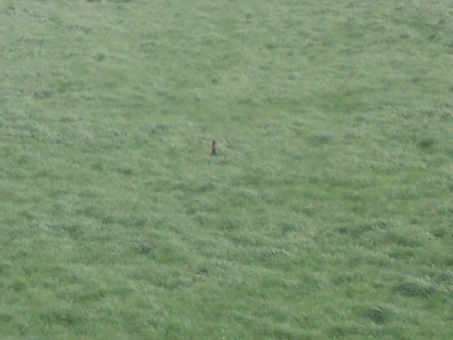 Name:  picture 9179.jpg
Views: 256
Size:  165.2 KB
