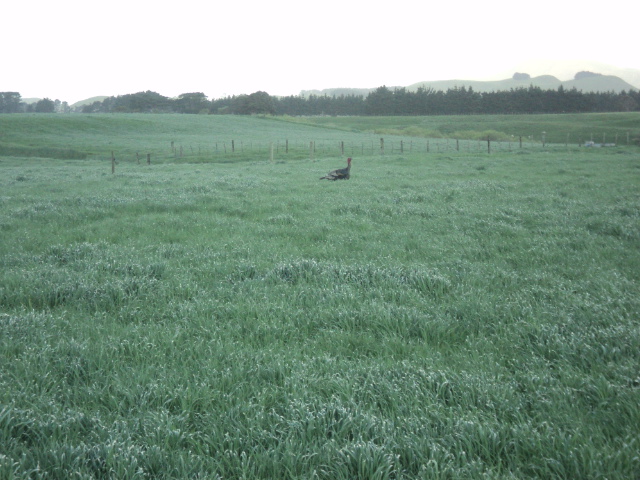 Name:  picture 9181.jpg
Views: 425
Size:  164.1 KB