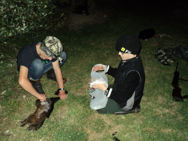 Name:  picture 862.jpg
Views: 349
Size:  164.8 KB