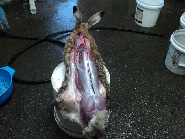 Name:  picture 9414.jpg
Views: 224
Size:  164.7 KB