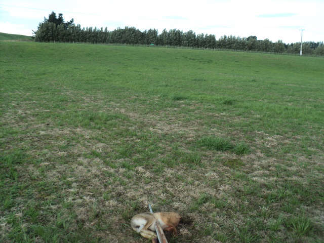 Name:  picture 9471.jpg
Views: 347
Size:  164.8 KB