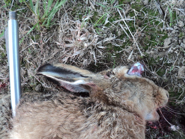 Name:  picture 9472.jpg
Views: 334
Size:  164.5 KB