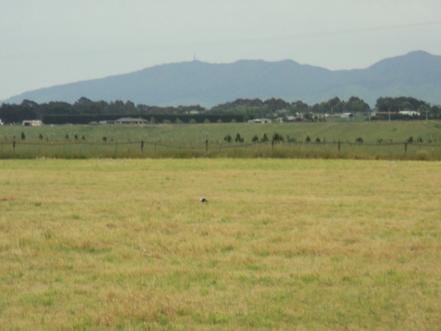 Name:  picture 9759.jpg
Views: 514
Size:  158.9 KB