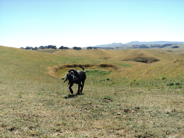 Name:  picture 1125.jpg
Views: 291
Size:  164.8 KB