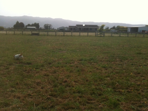 Name:  IMG_0192.JPG
Views: 279
Size:  143.1 KB