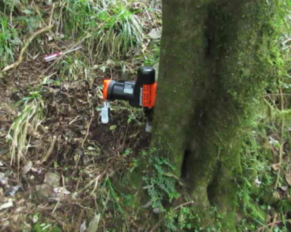 Name:  stoat trap.jpg
Views: 541
Size:  55.5 KB