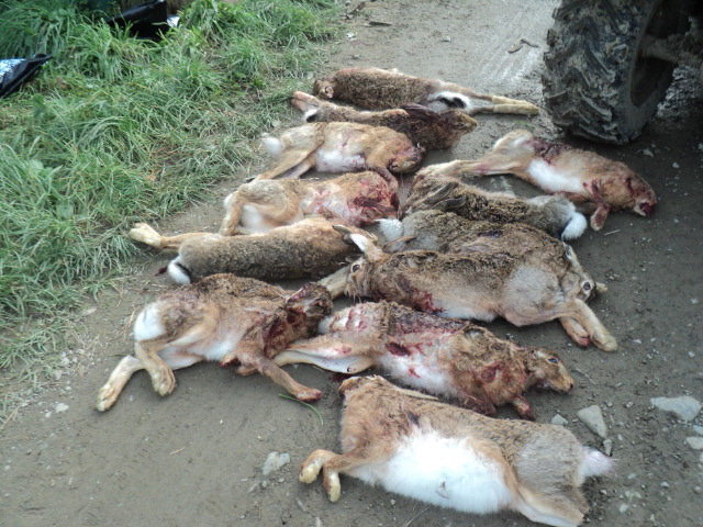 Name:  834.jpg
Views: 405
Size:  163.5 KB