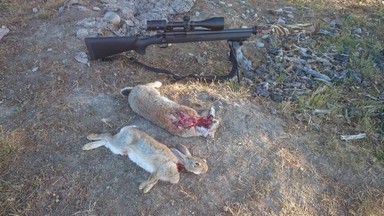 Name:  Image 003.jpg
Views: 369
Size:  54.0 KB